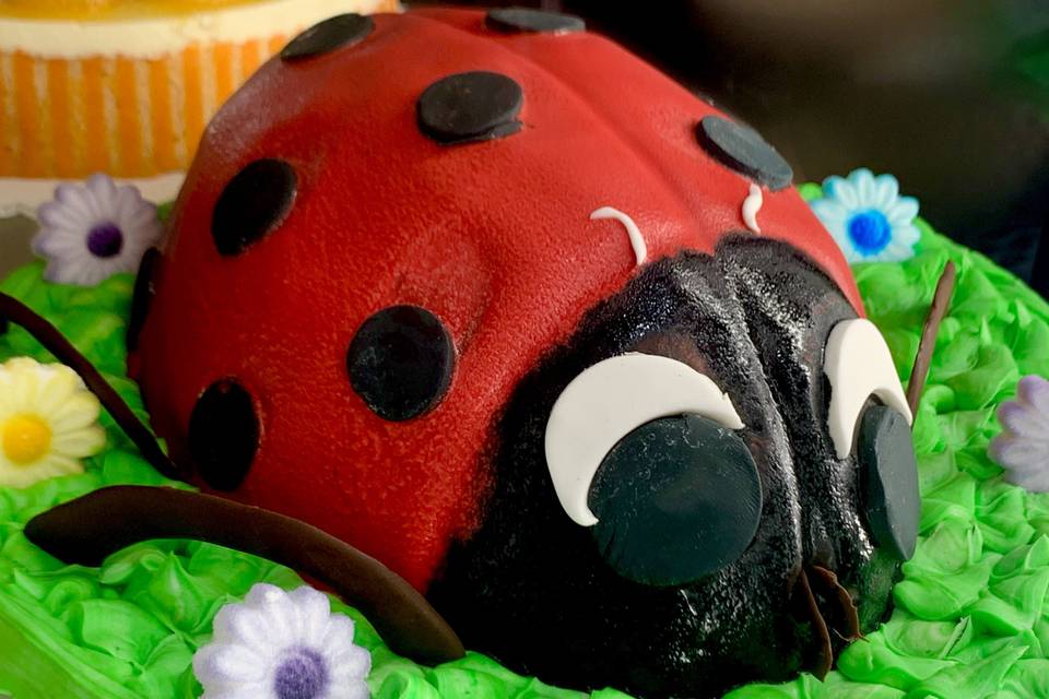 Lady Bug Cake