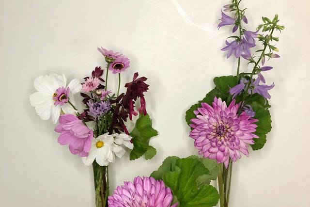 Garden Bud Vases