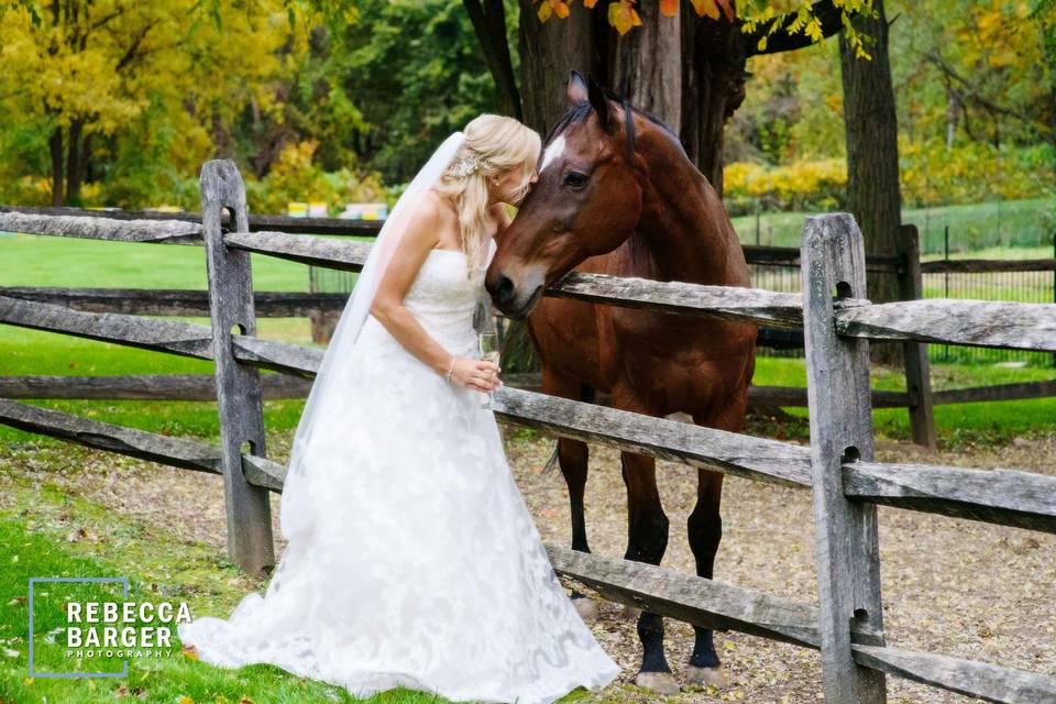 Bride and Horse