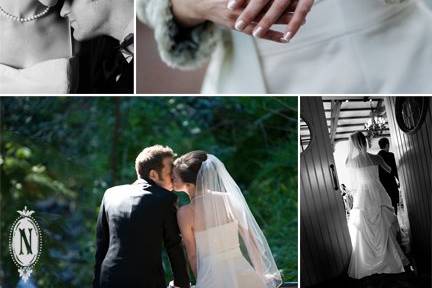 Nancy Rothstein Photography