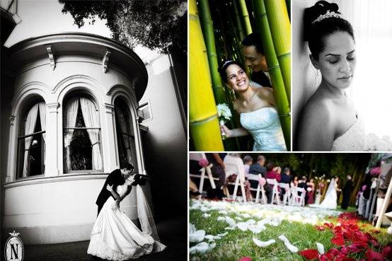 Nancy Rothstein Photography