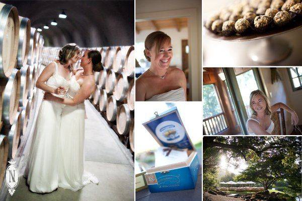 Nancy Rothstein Photography