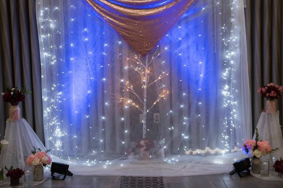 Reception lighting and backdrop