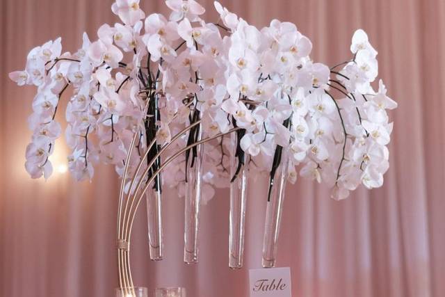 Orchids in a half moon stand