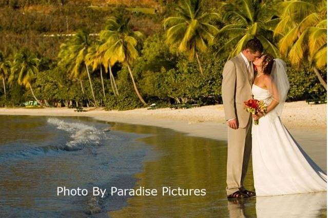 Dream Weddings In Paradise