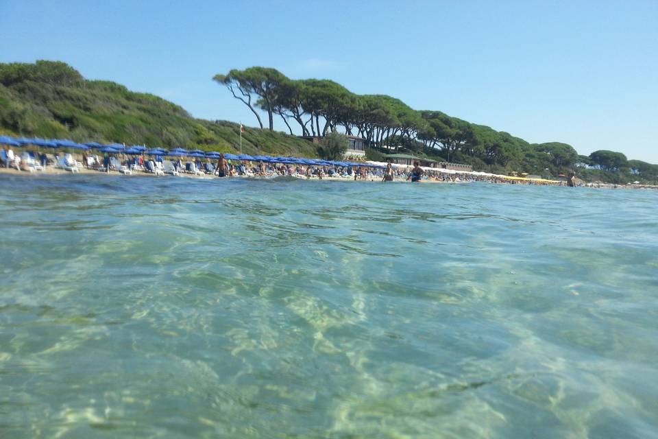 Tuscany beach boschetto