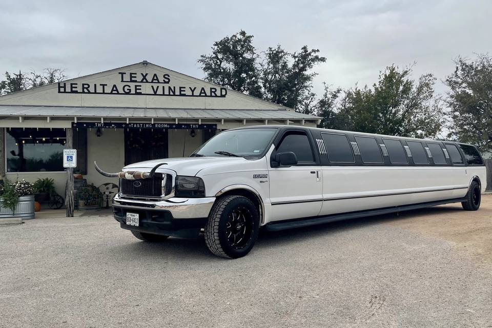 Excursion Limo with Longhorns