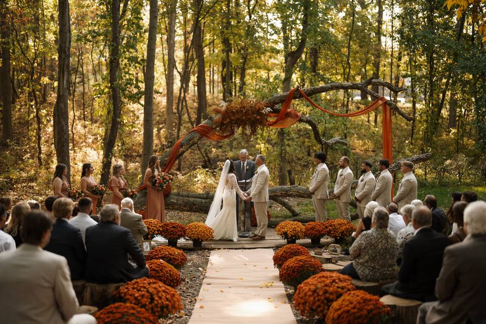 Forest Ceremony space