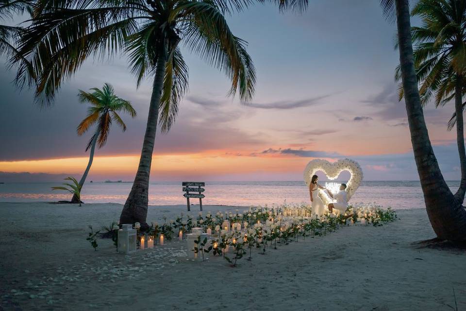 Proposal on a beach