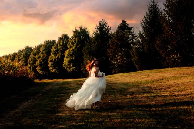 Al Bracken Photography