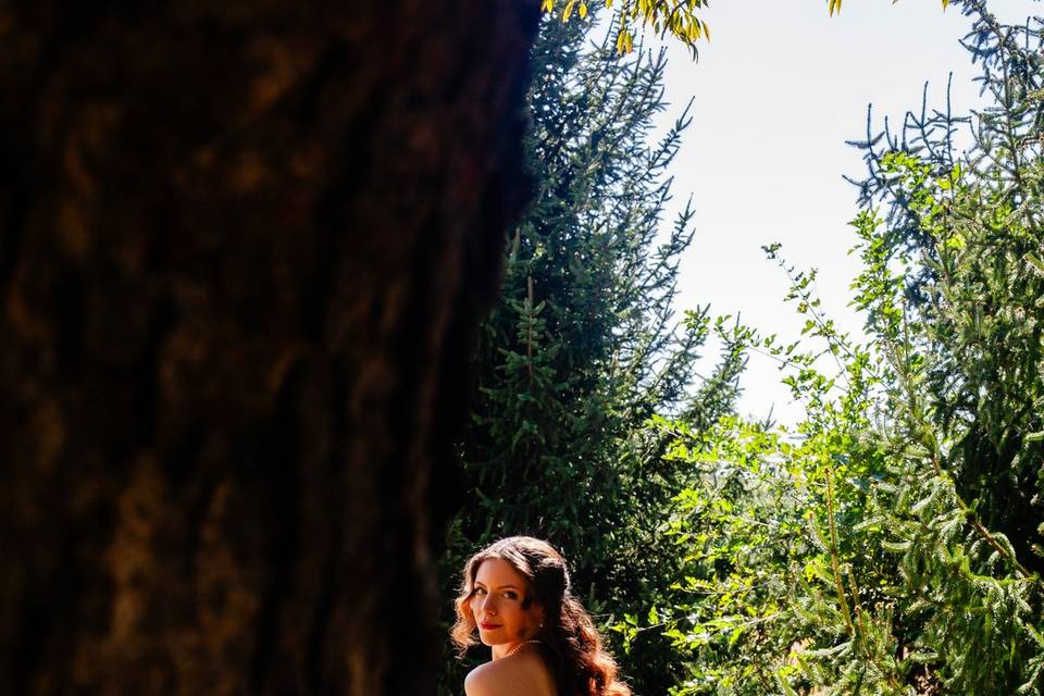 Enchanted