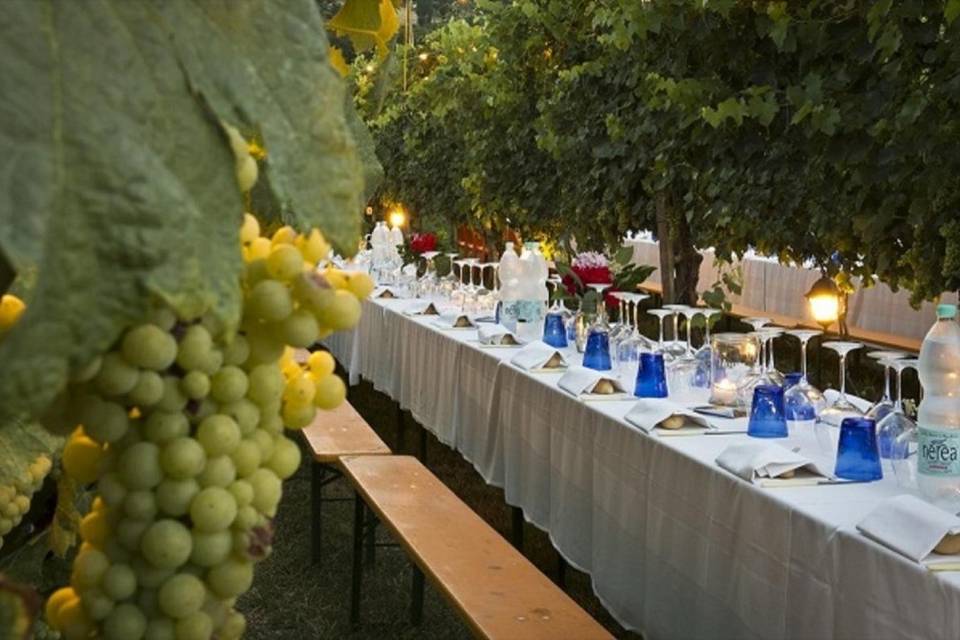 Chianti Winery