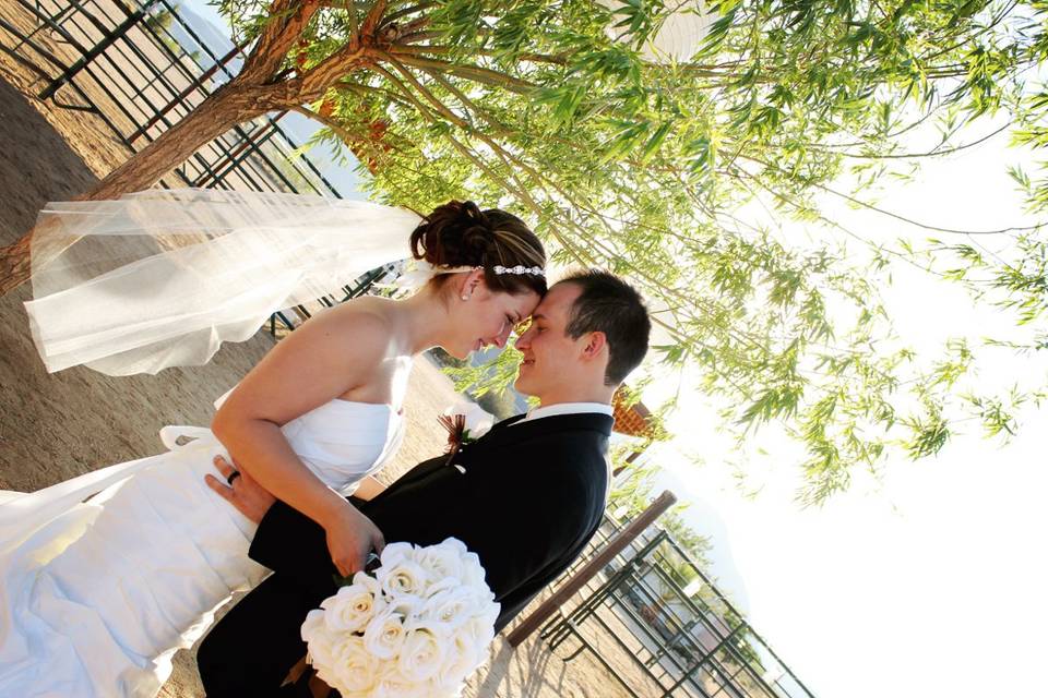 Alicia Samone Photography