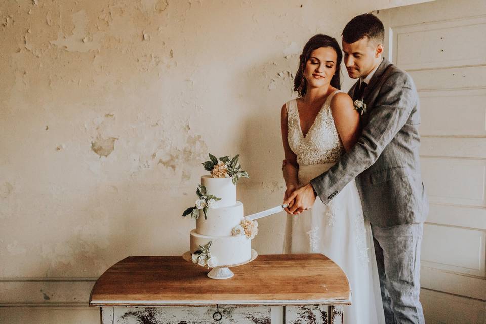 Wedding cake cutting