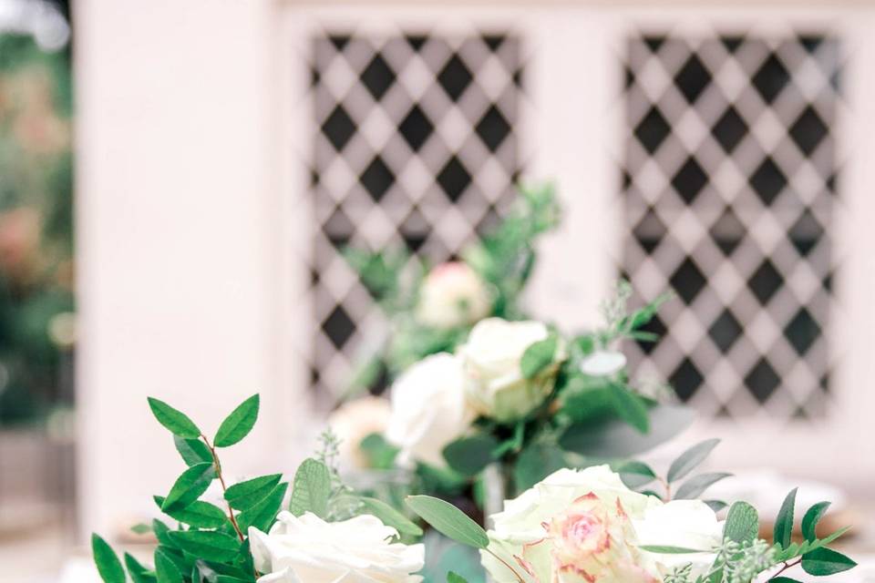 White blooming rose