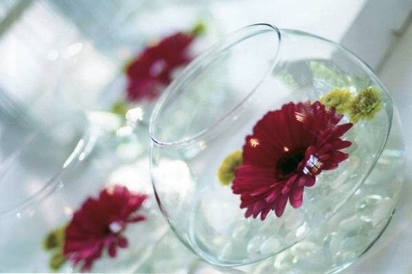 Simple centerpieces provided a splash of color to Kim & Colin's reception tables.