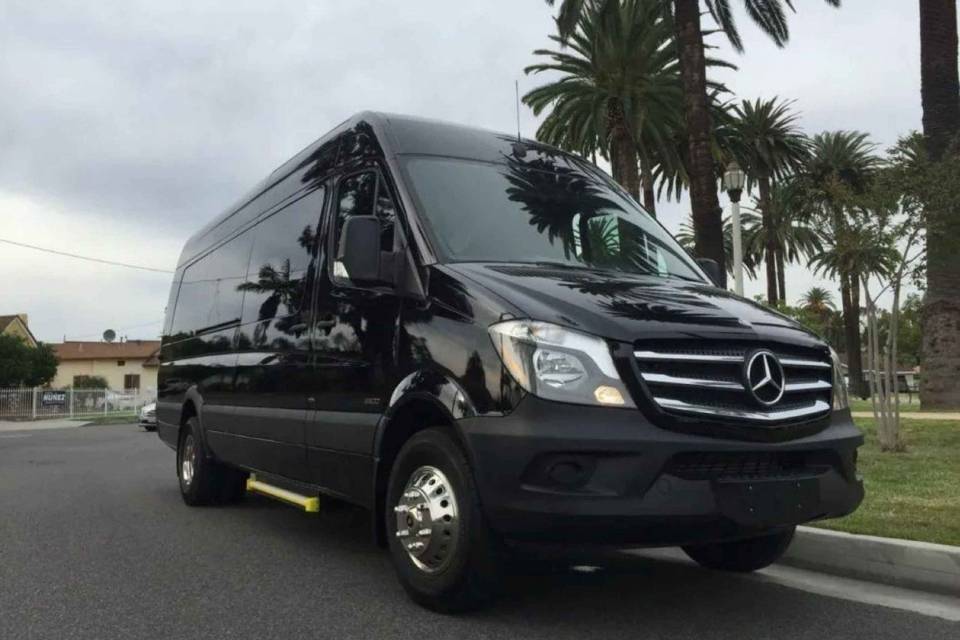 Sprinter limo