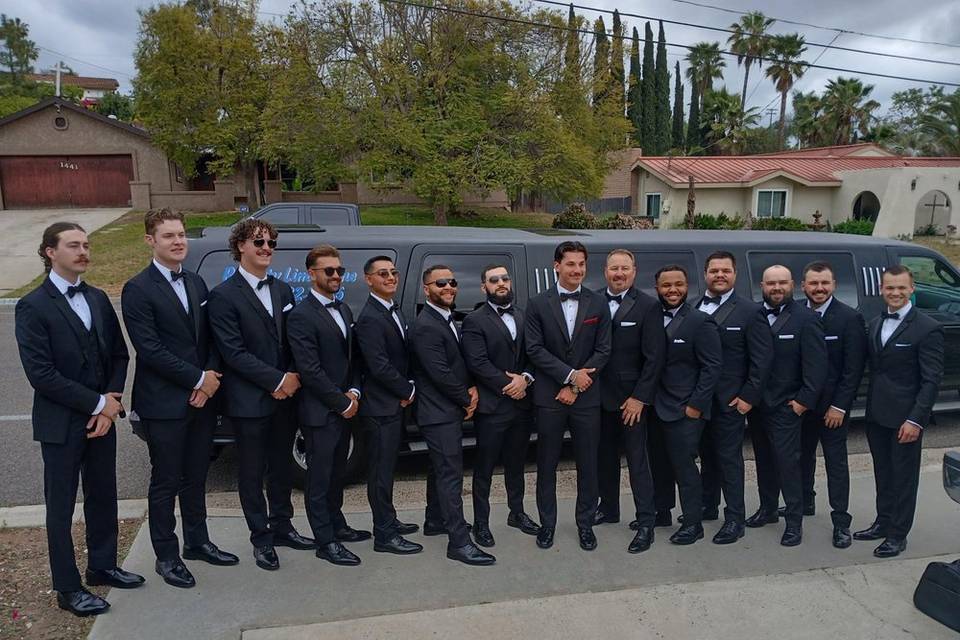 Excursion limo