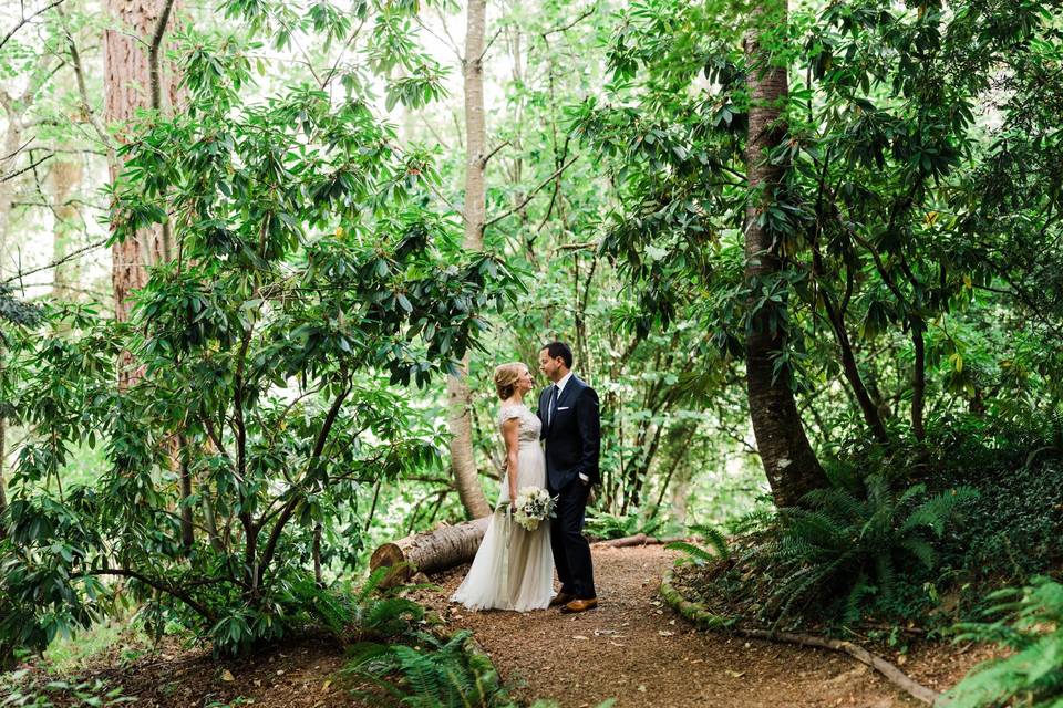 Lush Greenery at Bramble Bump