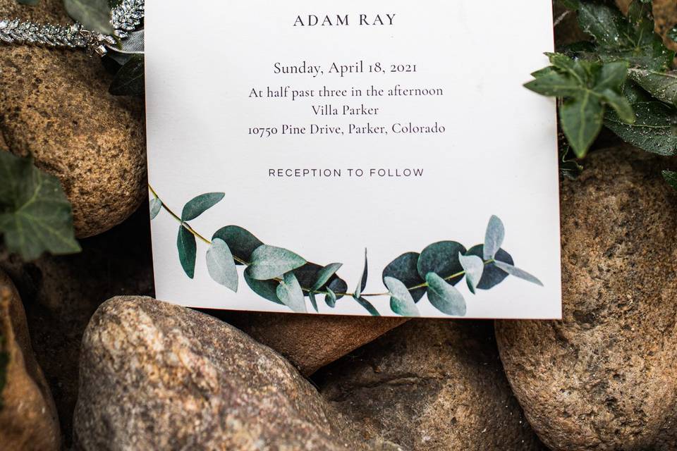 The Invitations