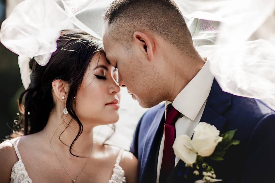 Veil kisses