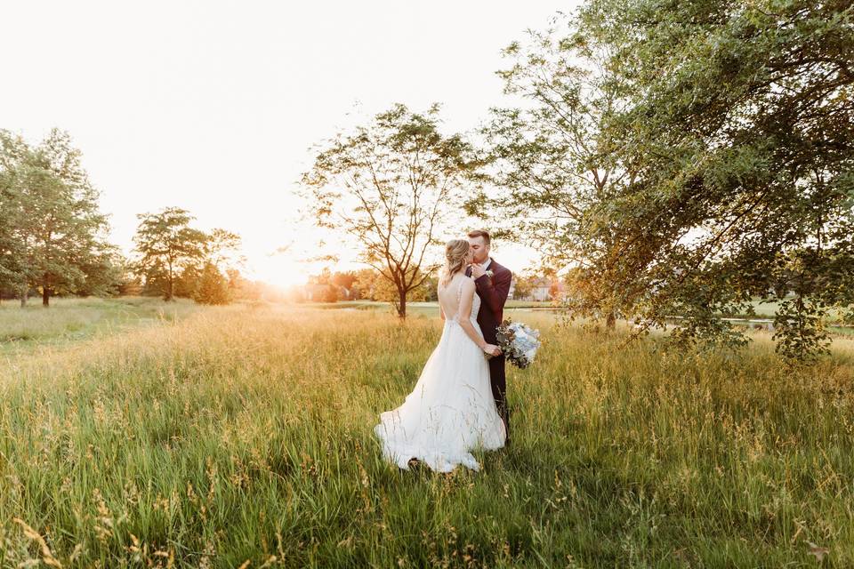 Field and Golden Hour