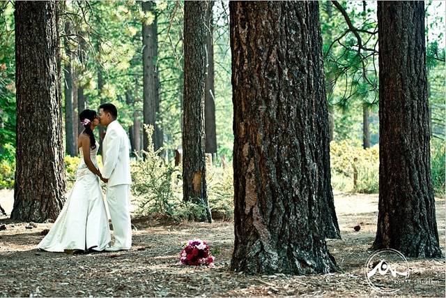 Cloud Nine Event Company - Planning - South Lake Tahoe, CA - WeddingWire