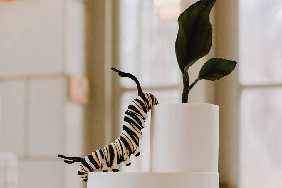 Climbing Sugar Caterpillar