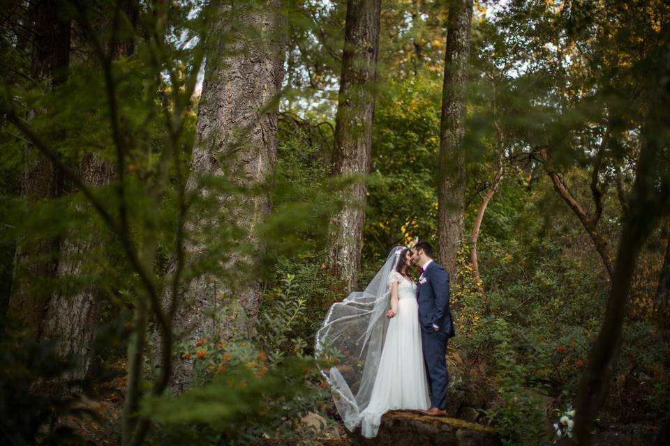 Couple in the woods