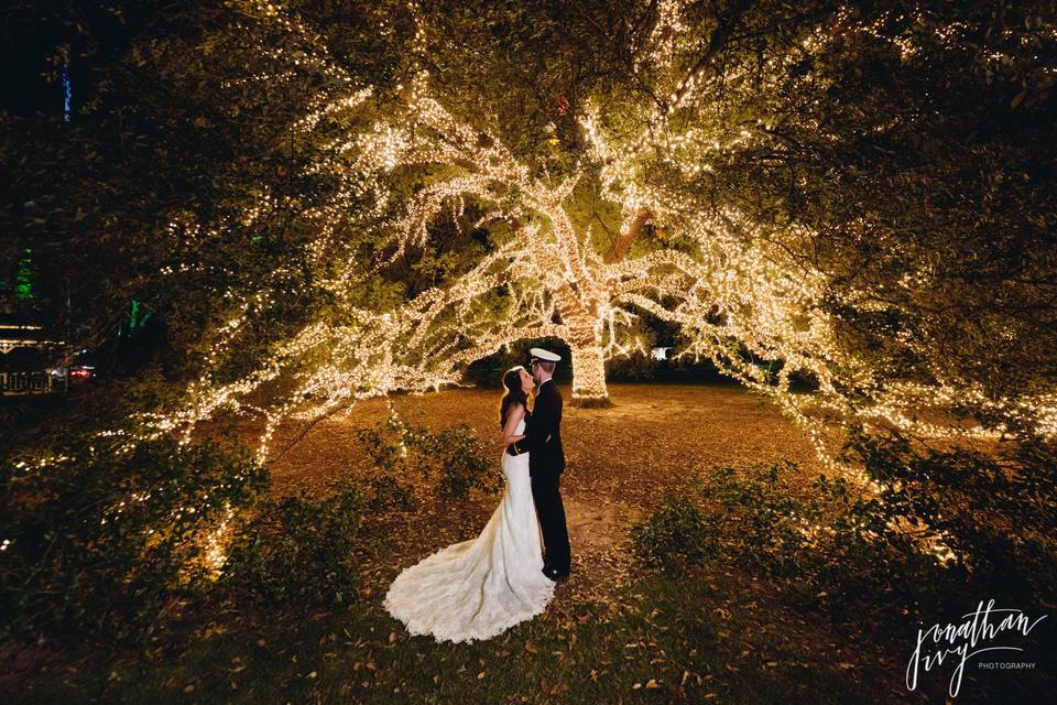 The iconic live oak tree on the meadow of the houstonian hotel creates a stunning setting for photography and outdoor receptions or parties.