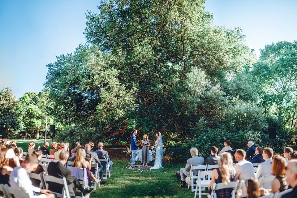 Elegant ceremony in from of the iconic live oak tree on the meadow of the houstonian hotel.