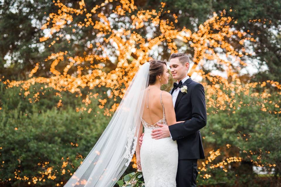 The stunning live oak tree at the houstonian hotel creates a backdrop like no other for weddings, parties and celebrations.