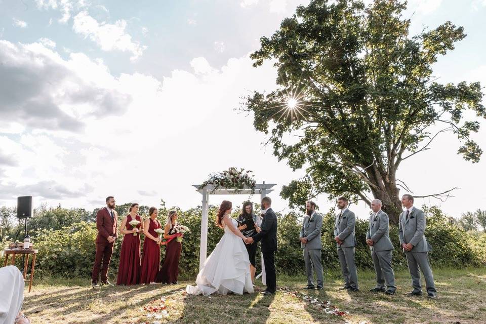 Family hazelnut orchard