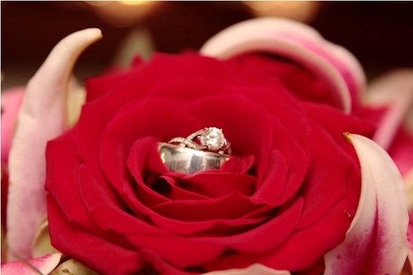 Weddings by Raffaella