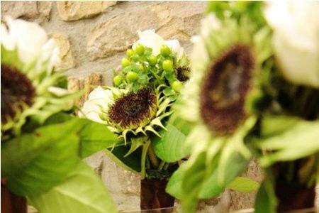 Weddings by Raffaella
