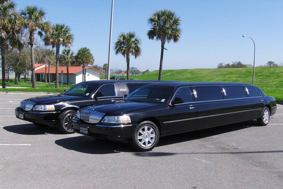 Long white limo