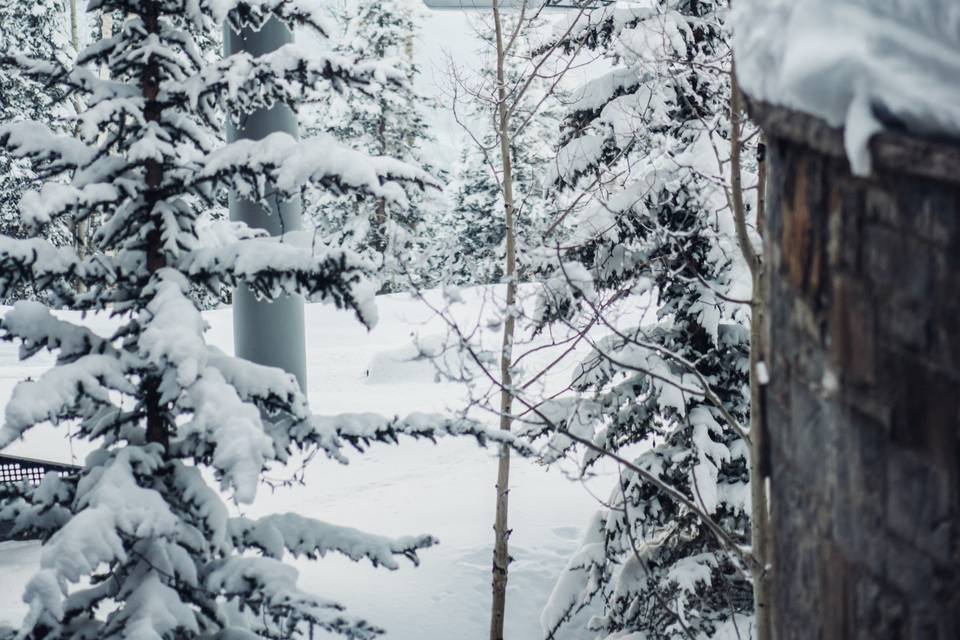 Telluride Ski Resort