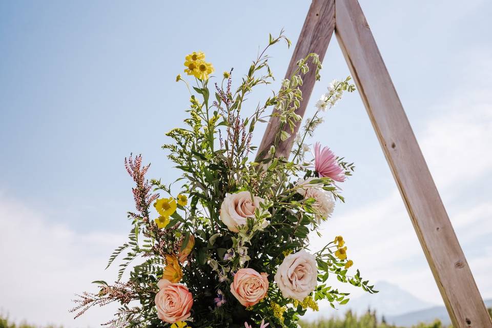 Mt. View Orchards Wedding