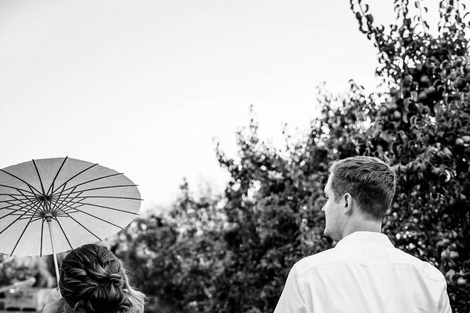 Mt. View Orchards Wedding