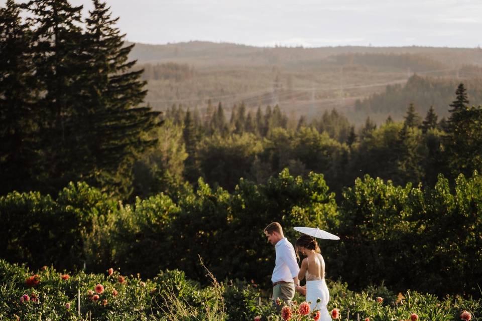 Mt. View Orchards Wedding