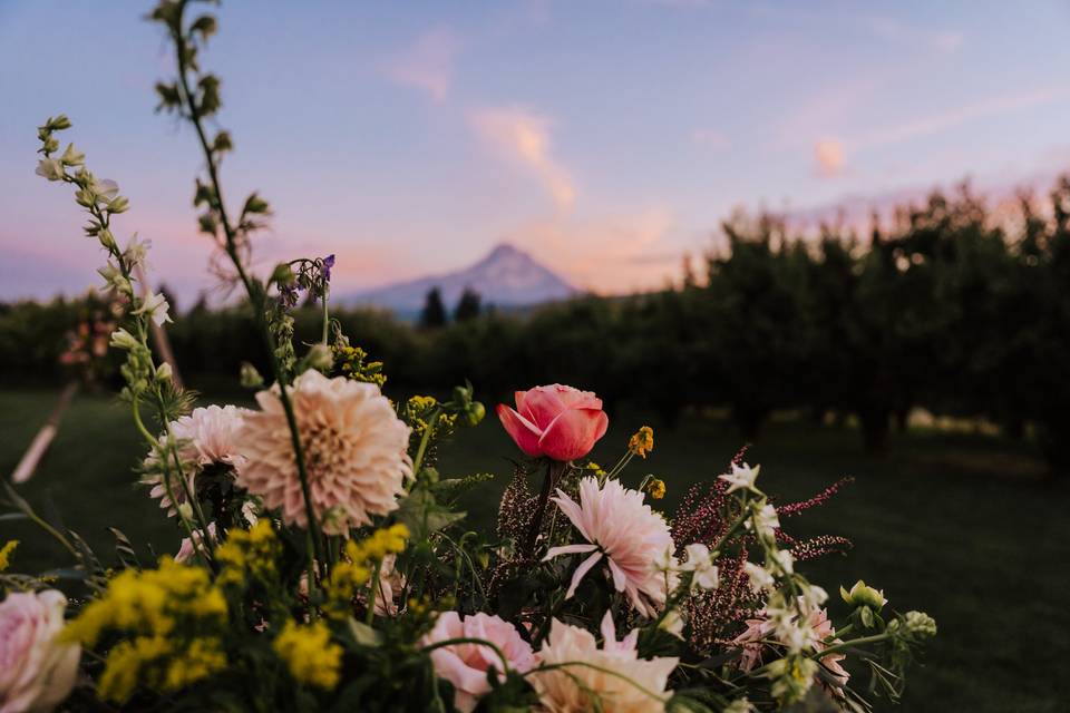 Mt. View Orchards Wedding