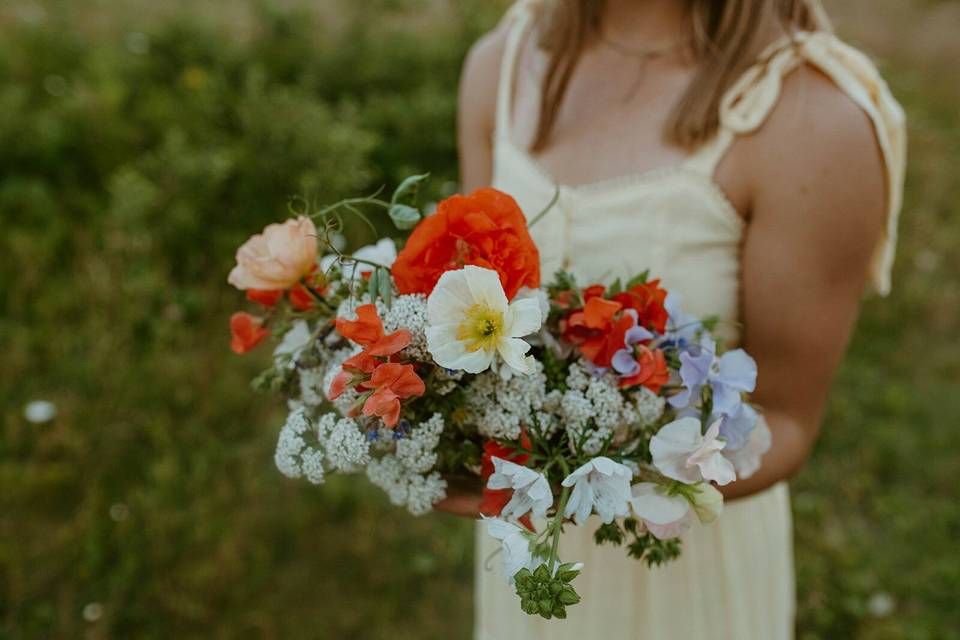 Delicate blooms