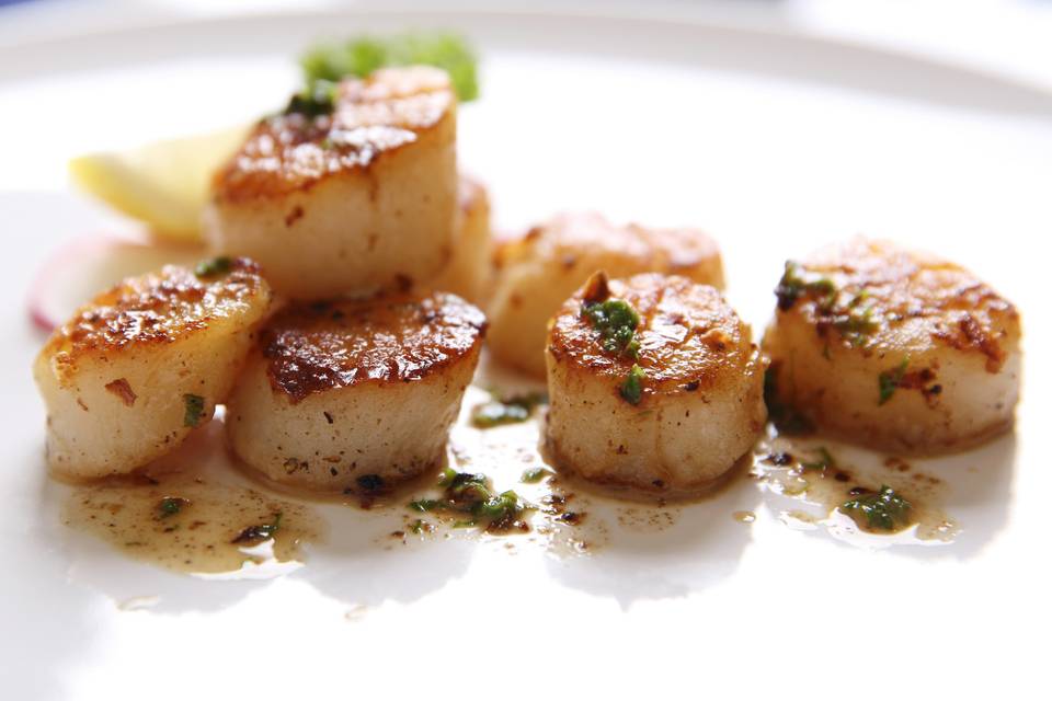 Scallops