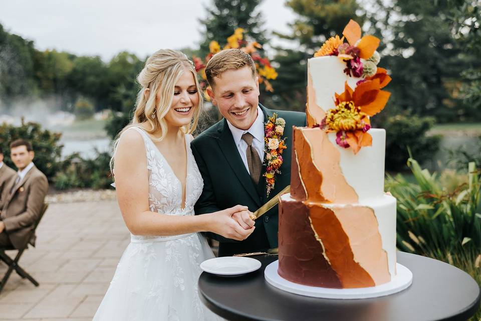 Cake cutting