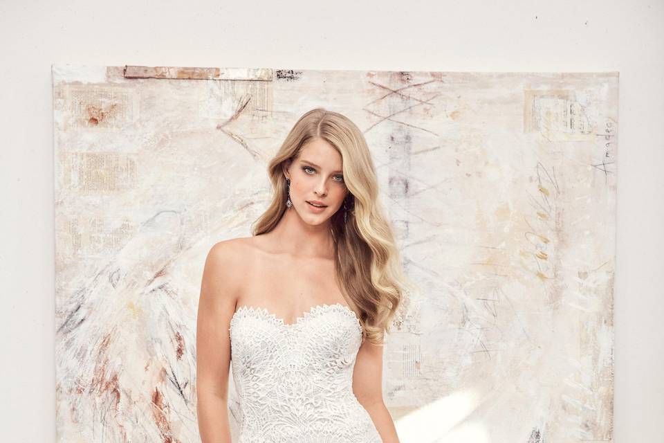 Lace wedding dress