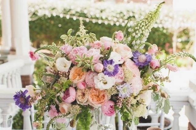 Spring tables cape