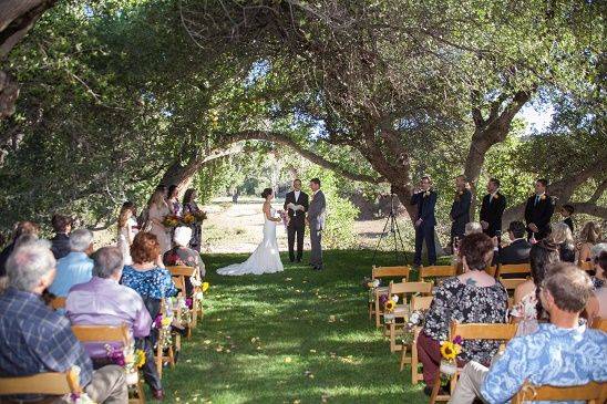 Wedding ceremony