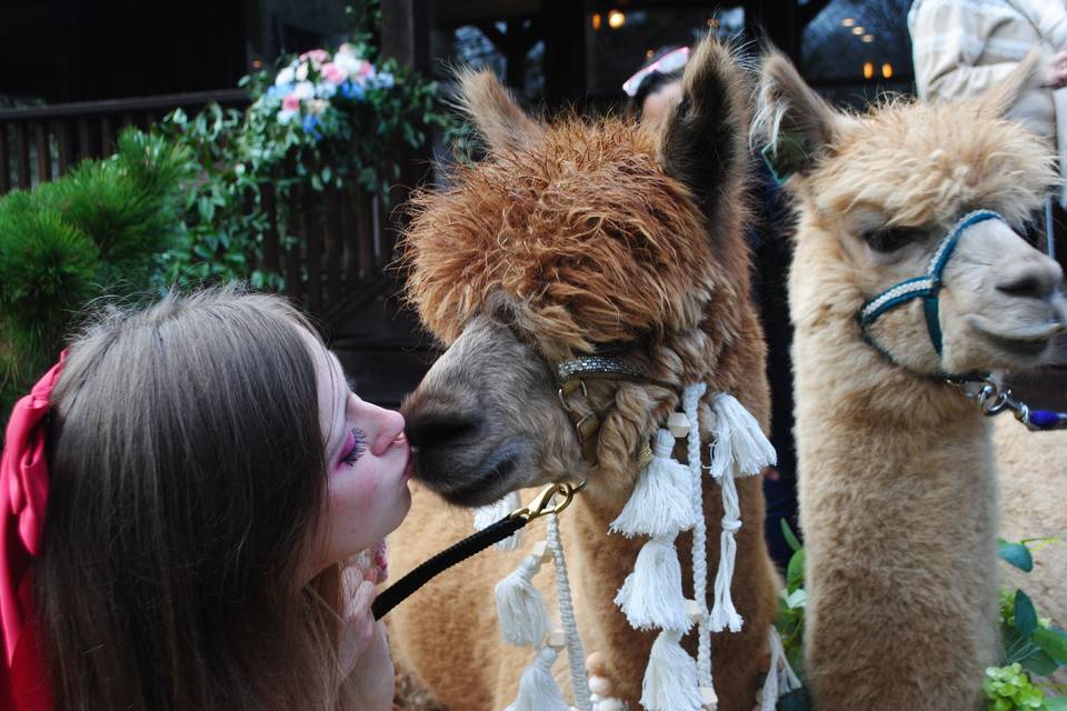 Kisses for the Bride