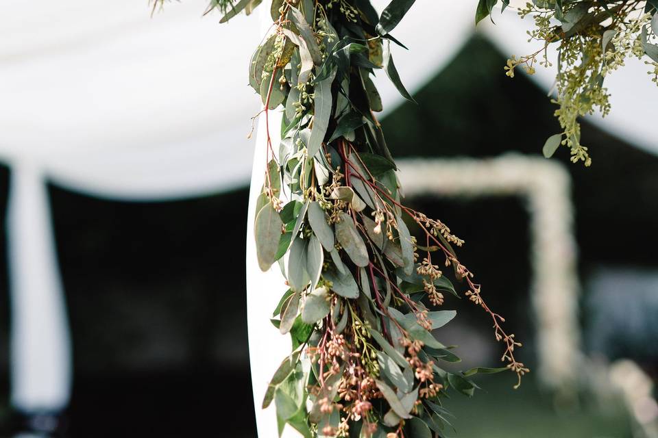 Blue Ribbon Weddings