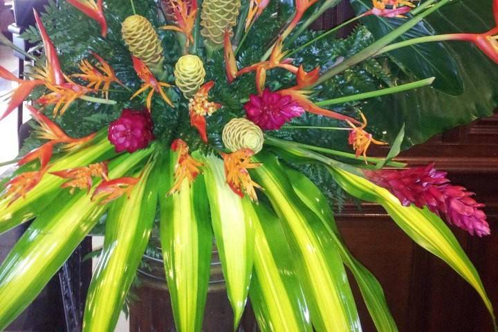 Tropical Flowers for Reception Entry - Puerto Rico